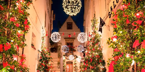 \u015aWI\u0104TECZNA MAGIA W CYTRUSOWYM BLASKU W\u0141OSKIEGO PO\u0141UDNIA 8-13.12.2025