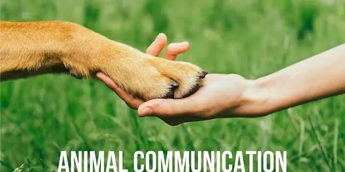 Evening of Pet Communication Sessions