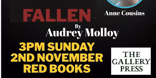 'FALLEN' by Audrey Molloy Book Launch