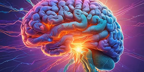 Care & Lifestyle Expo - Exhibitor