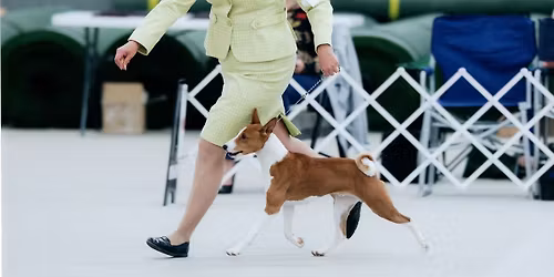 Designated Specialty