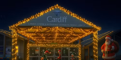 Christmas preview Evening 