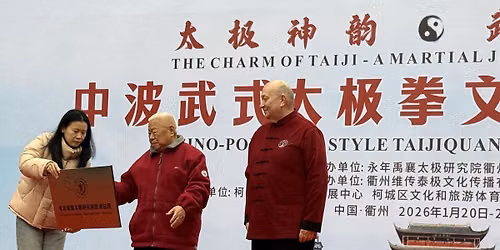 Wu \u6b66 style Taijiquan summer courses
