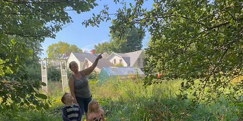 St Patrick day pea planting