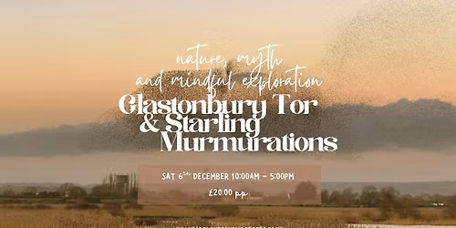 Glastonbury Tor & Starling Murmurations Walk 