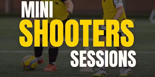 Mini Shooters 