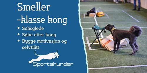 Nybegynnerkurs Smeller klasse kong