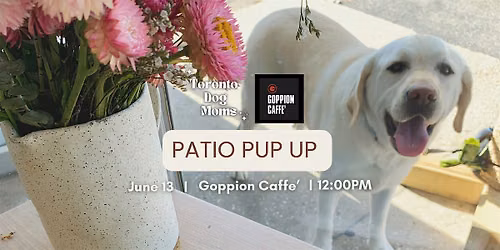 Patio Pup Up Shop