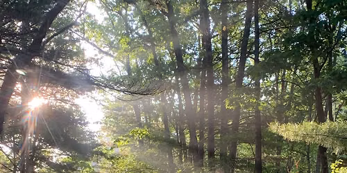 Landmarks & Landscapes: Beaver Discovery at Rocky Woods