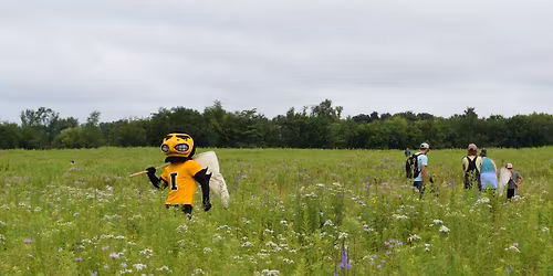 6th Annual BioBlitz at Ashton Prairie Living Laboratory