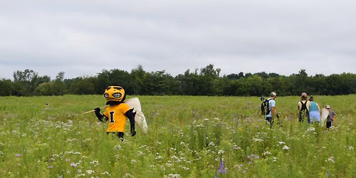 6th Annual BioBlitz at Ashton Prairie Living Laboratory