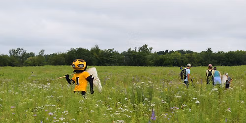 6th Annual BioBlitz at Ashton Prairie Living Laboratory