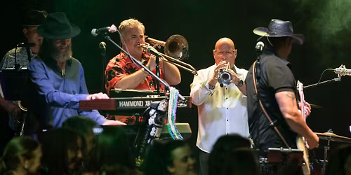 CADILLAC GROOVE in Dwight at Aly Anne's Music Festival