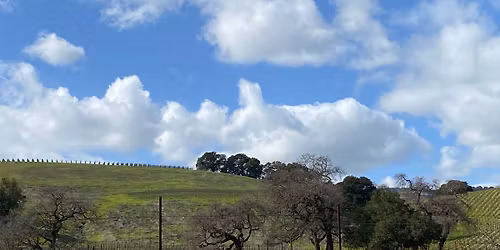 Christianity for Beginners