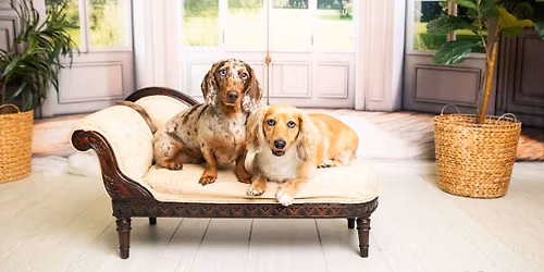 weenie photos!