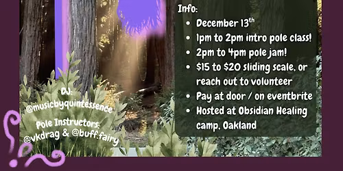 Obsidian Pole Jam and Intro Pole Class