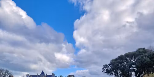 Spring Back To Life-Plant Sale