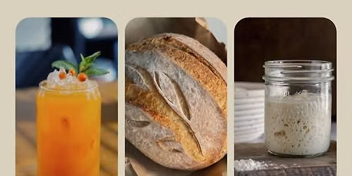 Starting With Sourdough 