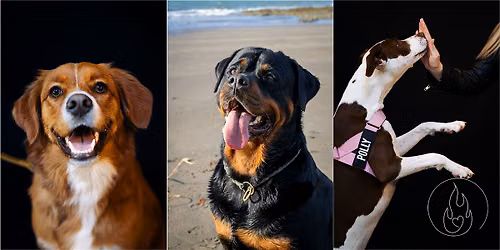 Puppy Pawtraits