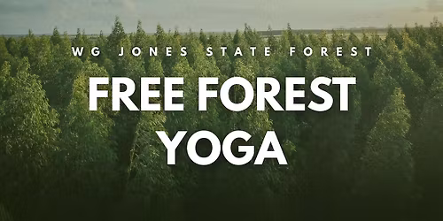 FREE Forest Yoga at WG Jones State Forest