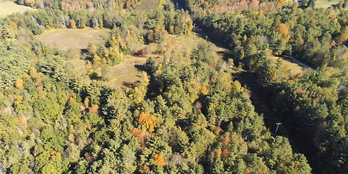 Tuesday Talks - How History Shaped the Forest of Merryspring with Allyssa Gregory, ME DACF