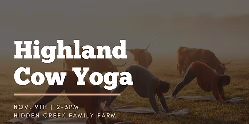Highland Cow Yoga