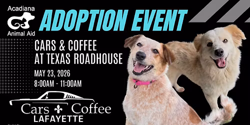 Dog Adoptions, Cars & Coffee