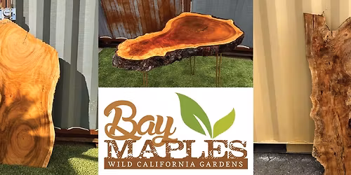 Holiday Slab Sale & Fair