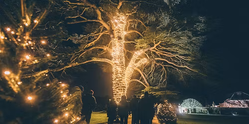 500 Mlynedd o'r Nadolig yn Nh\u0177 Tredegar | 500 Years of Christmas at Tredegar House
