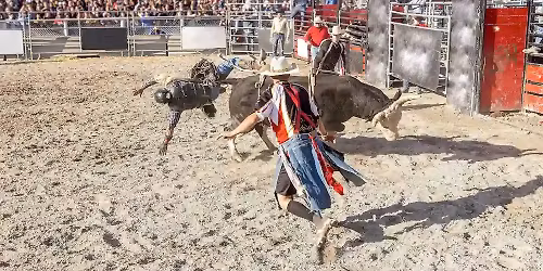 Lago Mar Reunion Roundup PRCA Rodeo