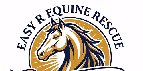 14th Annual Heroes for Horses Fundraising Event
