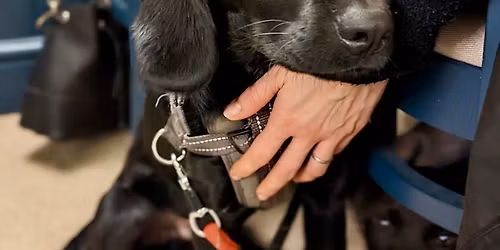 The Sloop Inn Dog Walk & Lunch 