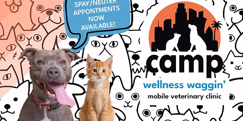 CAMP Wellness Waggin' Now Offering Spay\/Neuter Appointments!
