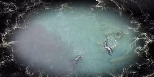 Stru\u010dno vodstvo \/ Aquatic Archives Aftermath \/ ROBERTINA \u0160EBJANI\u010c