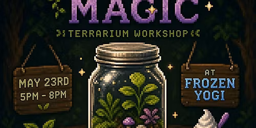 Moss and Magic Terrarium Building