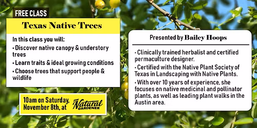 Free Class: Texas Native Trees with Bailey Hoops