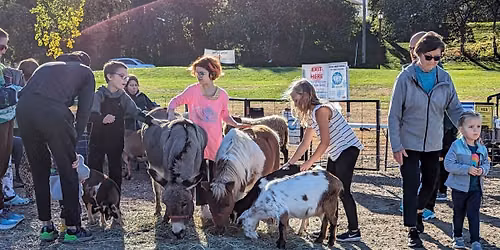 Hasse Petting Zoo and Fall Fest