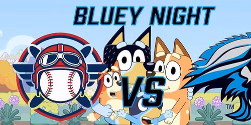 Bluey Night