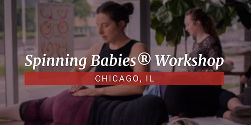 Chicago, IL - Spinning Babies\u00ae Foundational Workshop w\/ Tammy - December 14, 2026