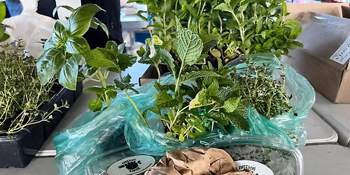 Richfield Farmers Market 2026