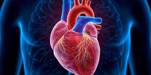 Beat the Heart Attack Before It Starts \u2013 A Survivor\u2019s Perspective and Critical Prevention Tip