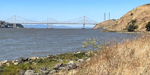 Dillon Point again, Benicia State Recreation Area