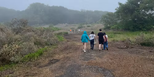 Weekly Invasive Removal Workday