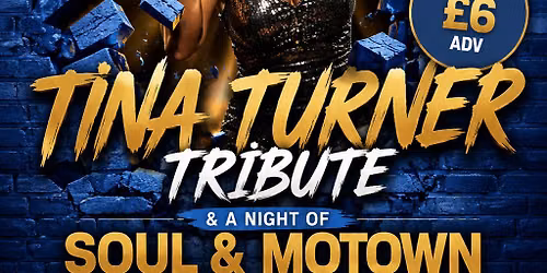 Tina Turner Tribute
