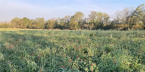 Cover Crops for Cool-Season Grazing Workshop