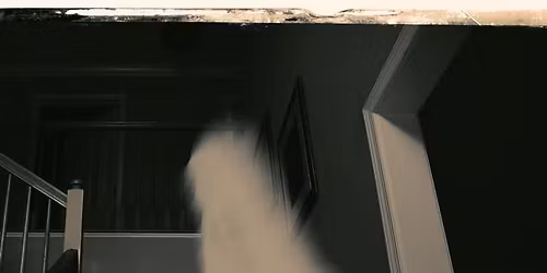 Spirited Spaces: Energy Clearing Techniques | In-person