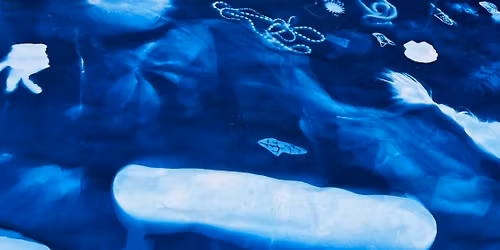 Cyanotype begynder workshop 