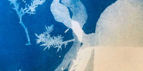 Cyanotype begynder workshop 