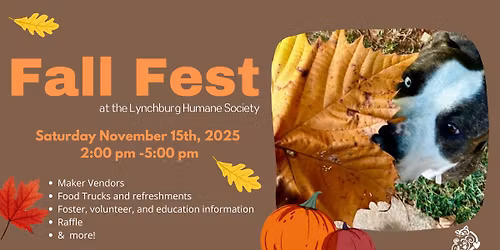 Fall Fest! 