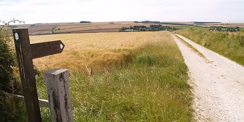 October Sunday Walk - Yorkshire Wolds - Wharram Le Street and North Grimston - 10 miles\/16km